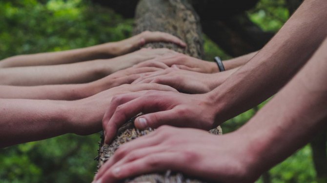 Manos sobre un árbol en la naturaleza como símbolo de inclusión